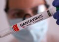 Mengenal Serang Virus, Hantavirus Lokal Indonesia yang Ditemukan di Banten