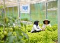 Jaga Amanah 23 Juta Nasabah, PNM Sabet Penghargaan Indonesia Most Trusted Companies