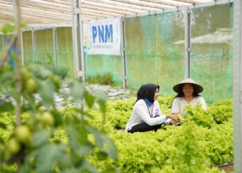Jaga Amanah 23 Juta Nasabah, PNM Sabet Penghargaan Indonesia Most Trusted Companies