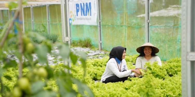 Jaga Amanah 23 Juta Nasabah, PNM Sabet Penghargaan Indonesia Most Trusted Companies