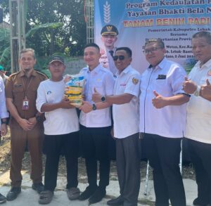 IMG 20260604 111241 - Lebak Pasang Target Panen Lebih Tinggi, Varietas PS 08 Diuji di Lahan 10 Hektare