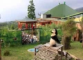 China Bangga Indonesia Berhasil Merawat dan Mengembangbiakkan Panda Raksasa 8 China Bangga Indonesia Berhasil Merawat dan Mengembangbiakkan Panda Raksasa
