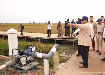 Swasembada Pangan