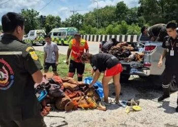 KECELAKAAN MAUT: Petugas mengidentifikasi jenazah para korban kecelakaan maut di Provinsi Mukdahan, Thailand timur pada Kamis (2/7/2026). (Dok. AFP/Yayasan Penyelamatan Ruamjai Mukdahan)