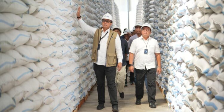 BULOG Berhasil Serap 3,5 Juta Ton Setara Beras Petani