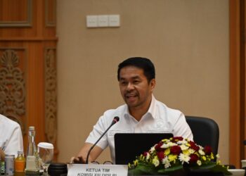 Marinus Gea: Harmonisasi Regulasi Daerah Jadi Kunci Reformasi Hukum Nasional