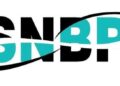 Mau Daftar SNBP 2027? Ini Daftar Sertifikat Prestasi yang Diakui Kampus