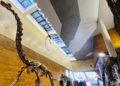 Indonesia Catat Sejarah, Fosil Dinosaurus Asli dari China Dipamerkan Perdana di Tahir Solo Museum 7 Indonesia Catat Sejarah, Fosil Dinosaurus Asli dari China Dipamerkan Perdana di Tahir Solo Museum