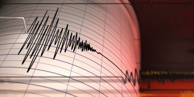BNPB Catat 9.765 Gempa Susulan Guncang NTT, 155 Kali Dirasakan Warga 1 BNPB Catat 9.765 Gempa Susulan Guncang NTT, 155 Kali Dirasakan Warga