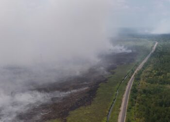 Enam Provinsi Jadi Wilayah Paling Rawan Karhutla, Pemerintah Kerahkan 43 Helikopter
