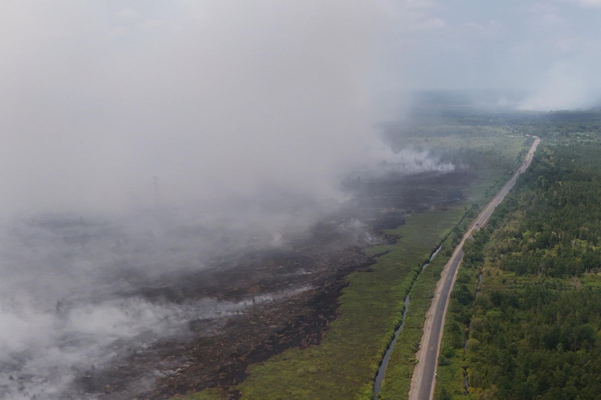 Enam Provinsi Jadi Wilayah Paling Rawan Karhutla, Pemerintah Kerahkan 43 Helikopter 4 Enam Provinsi Jadi Wilayah Paling Rawan Karhutla, Pemerintah Kerahkan 43 Helikopter