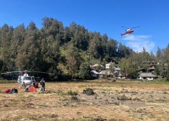 Kebakaran Bromo Padam, Petugas Masih Lakukan Pendinginan dan Pantau Bara