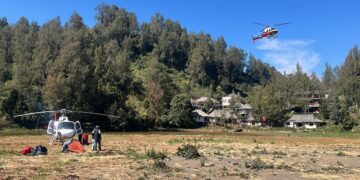 Kebakaran Bromo Padam, Petugas Masih Lakukan Pendinginan dan Pantau Bara
