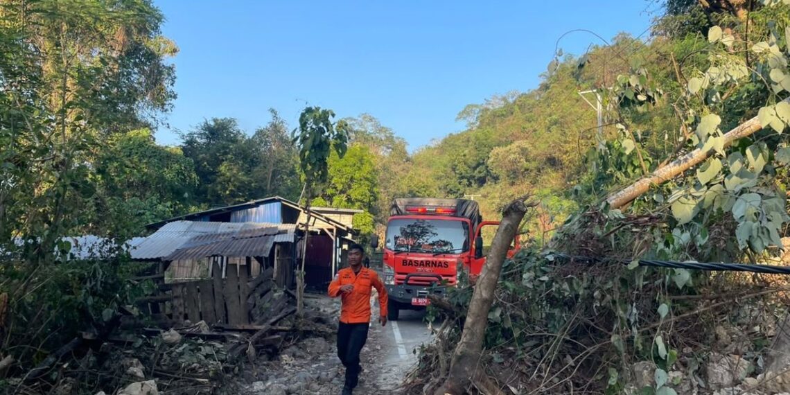 Tanggap Darurat Gempa NTT Ditargetkan Rampung dalam 2-3 Pekan