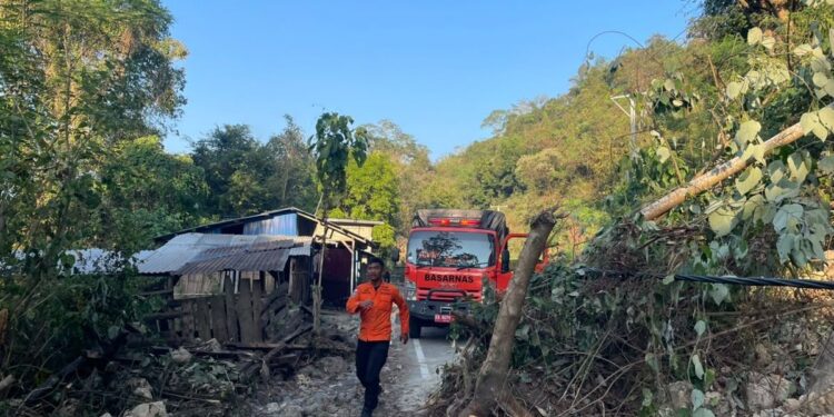 Tanggap Darurat Gempa NTT Ditargetkan Rampung dalam 2-3 Pekan 1 Tanggap Darurat Gempa NTT Ditargetkan Rampung dalam 2-3 Pekan