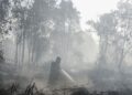 Sumber Air Menyusut, Pemadaman Karhutla di Enam Provinsi Prioritas Makin Sulit