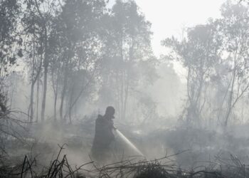 Sumber Air Menyusut, Pemadaman Karhutla di Enam Provinsi Prioritas Makin Sulit