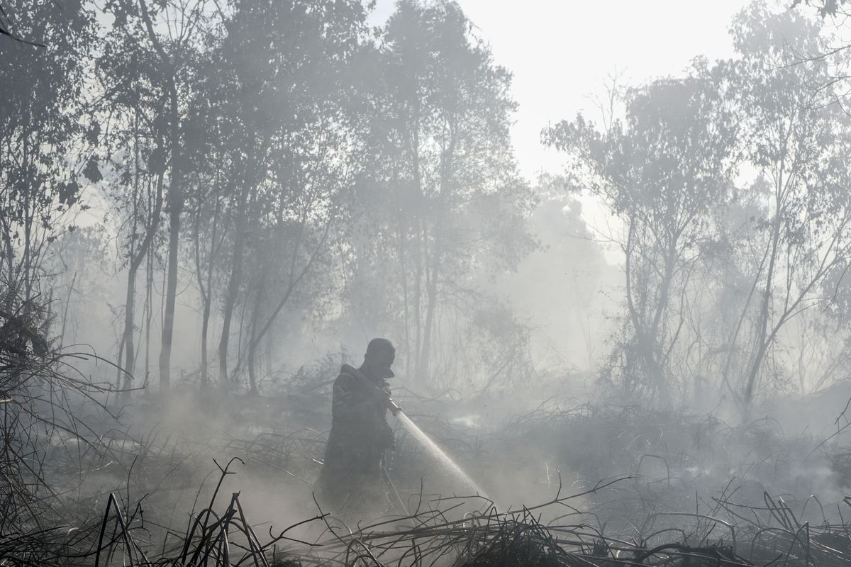 Sumber Air Menyusut, Pemadaman Karhutla di Enam Provinsi Prioritas Makin Sulit