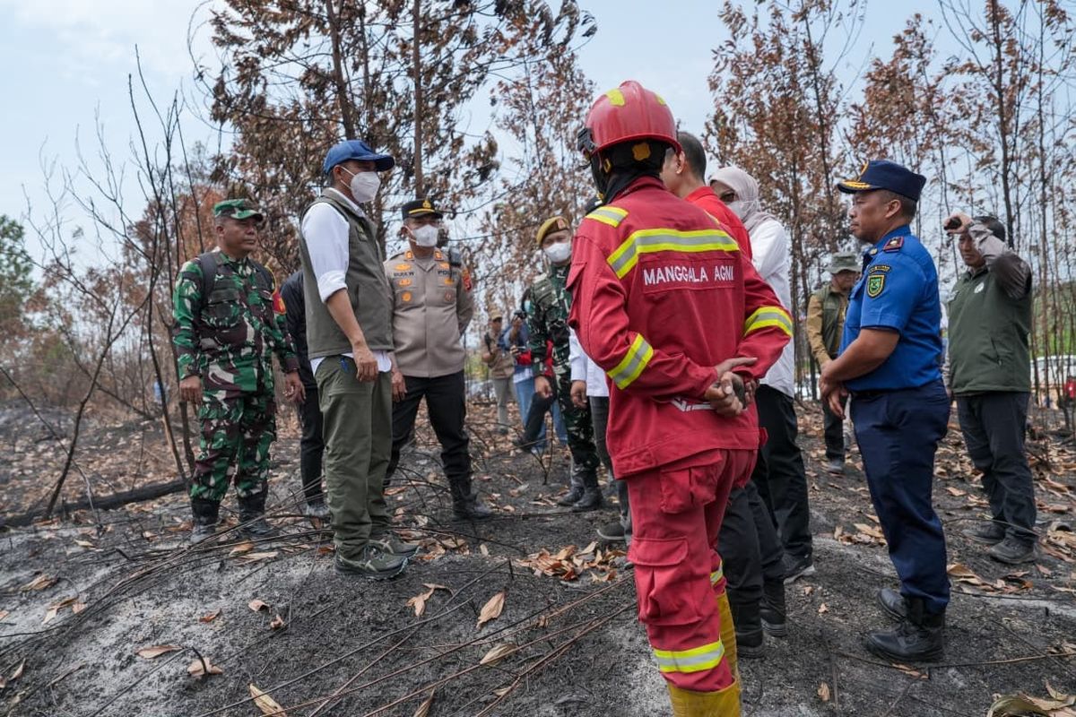 Menhut Raja Juli: Hujan Jadi Cara Paling Efektif Padamkan Karhutla, OMC Terus Didorong 2 Menhut Raja Juli: Hujan Jadi Cara Paling Efektif Padamkan Karhutla, OMC Terus Didorong