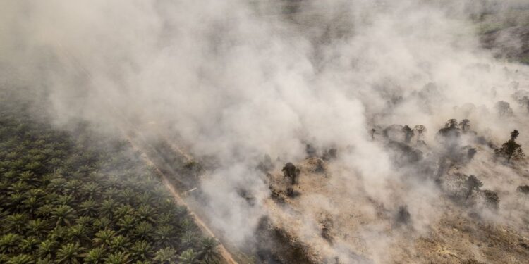 Kemenkes Distribusikan 5,3 Juta Masker ke Daerah Terdampak Karhutla