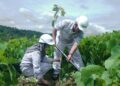 PT NSHE dan Upaya Merawat Harmoni Lingkungan di Tengah Pembangunan PLTA Batangtoru 6 PT NSHE dan Upaya Merawat Harmoni Lingkungan di Tengah Pembangunan PLTA Batangtoru