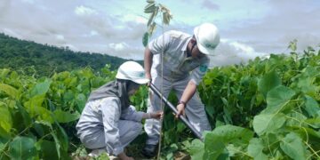 PT NSHE dan Upaya Merawat Harmoni Lingkungan di Tengah Pembangunan PLTA Batangtoru