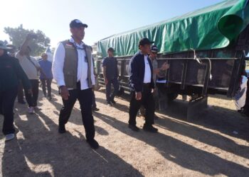 Kepala Bapanas dan Dirut BULOG Tinjau Langsung Penyaluran Bantuan Korban Gempa Flores