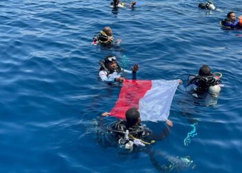 Dorong Ekonomi Pemuda Papua Lewat Wisata Hiu Paus, Kibar Merah Putih di Teluk Cenderawasih Jadi Pemicu 1 Dorong Ekonomi Pemuda Papua Lewat Wisata Hiu Paus, Kibar Merah Putih di Teluk Cenderawasih Jadi Pemicu