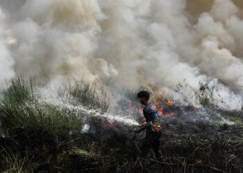 Malaysia Tutup 600 Sekolah Sementara Karena Terdampak Karhutla Kalimantan 2 KEBAKARAN LAHAN: Petugas memadamkan api yang melahap hutan dan lahan di Kalimantan. (ANTARA FOTO/AULIYA RAHMAN)
