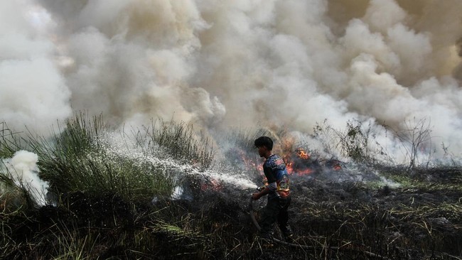 Malaysia Tutup 600 Sekolah Sementara Karena Terdampak Karhutla Kalimantan 1 KEBAKARAN LAHAN: Petugas memadamkan api yang melahap hutan dan lahan di Kalimantan. (ANTARA FOTO/AULIYA RAHMAN)