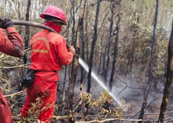 Kemenhut Perkuat Operasi Terpadu dan Penegakan Hukum Karhutla di Sumatera Selatan 1 Kemenhut Perkuat Operasi Terpadu dan Penegakan Hukum Karhutla di Sumatera Selatan