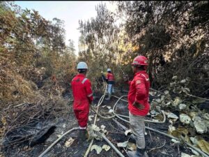 eb689093 bebd 4ce4 ad1e d12f105e76b0 - PT Mayawana Persada Perkuat Penanganan Karhutla di Kalimantan Barat, Kerahkan 170 Personel