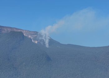 Api Karhutla di Resor Sembalun TN Gunung Rinjani Berhasil Dikendalikan, Kemenhut Lanjutkan Mopping Up