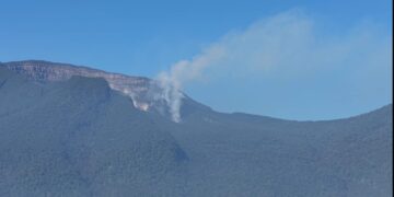 Api Karhutla di Resor Sembalun TN Gunung Rinjani Berhasil Dikendalikan, Kemenhut Lanjutkan Mopping Up