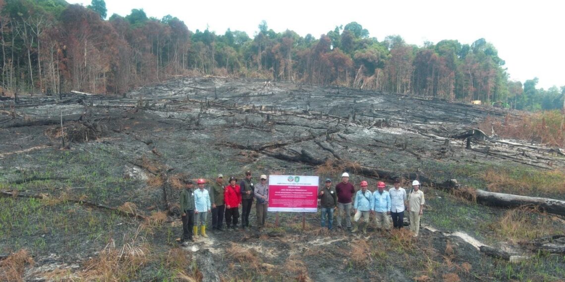 6 Perusahaan Dijatuhi Sanksi Kemenhut Terkait Karhutla
