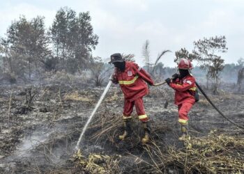 3,4 Juta Warga Terdampak Asap Karhutla, Kasus ISPA Melonjak di Sejumlah Wilayah