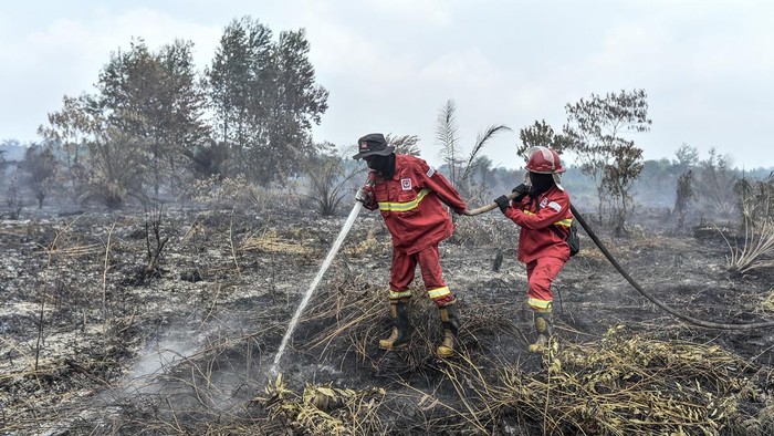 3,4 Juta Warga Terdampak Asap Karhutla, Kasus ISPA Melonjak di Sejumlah Wilayah 3 3,4 Juta Warga Terdampak Asap Karhutla, Kasus ISPA Melonjak di Sejumlah Wilayah