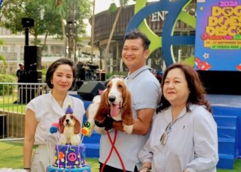 Dog Does Disco 2026 dan Hush Puppies Hadirkan Festival “Paws for Peace” di Central Park