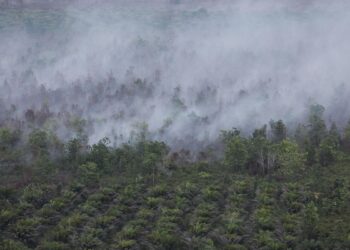 KLH Usut 19 Perusahaan Diduga Picu Karhutla di Kalimantan dan Sumatera