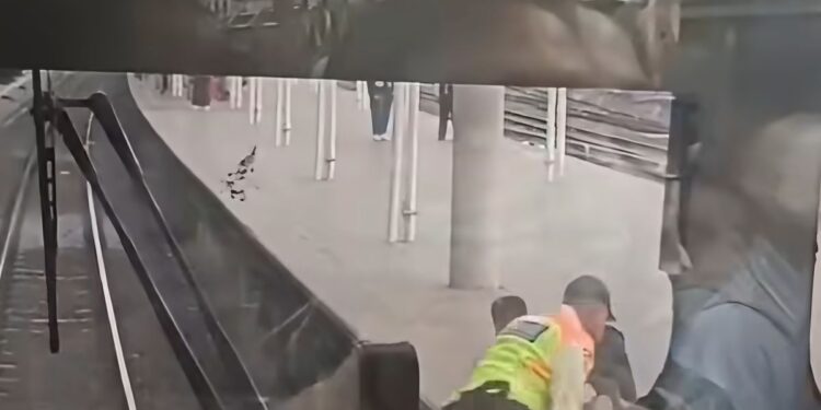 Pria Lompat ke Rel Stasiun Tanah Abang, Nyaris Tertabrak KRL
