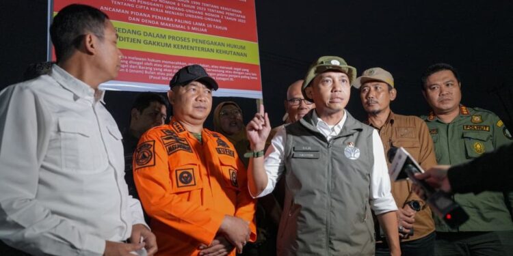 Menhut Segel Lahan Bekas Karhutla di Kalbar yang Mulai Ditanami Sawit