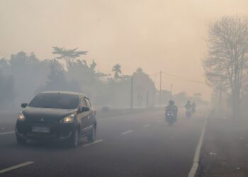 Eddy Soeparno Dorong RUU Pengendalian Perubahan Iklim Segera Dibahas