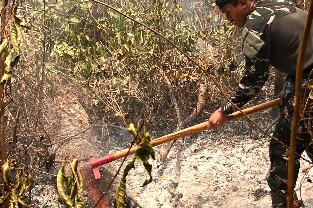 Karhutla di Way Kambas Lampung Meluas, 600 Hektare Lahan Terdampak