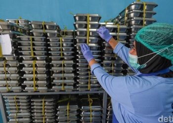 BGN Tegaskan Dapur MBG Beri Susu Mayoritas Air Bisa Ditutup