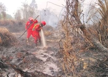 Hotspot Nasional Turun 844 Titik, Menhut-Kepala BNPB Perkuat Pengendalian di Kalteng