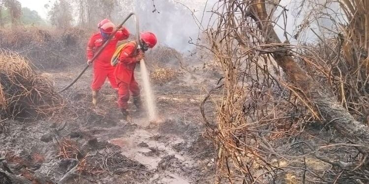 Hotspot Nasional Turun 844 Titik, Menhut-Kepala BNPB Perkuat Pengendalian di Kalteng