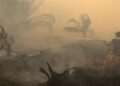 KLH Minta 19 Perusahaan Bertanggung Jawab atas Karhutla, Total Area Terbakar 11.046 Hektare