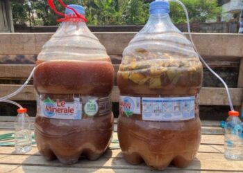 Universitas Brawijaya Ubah Eceng Gondok DAS Brantas Jadi Probiotik dan Ecoenzyme