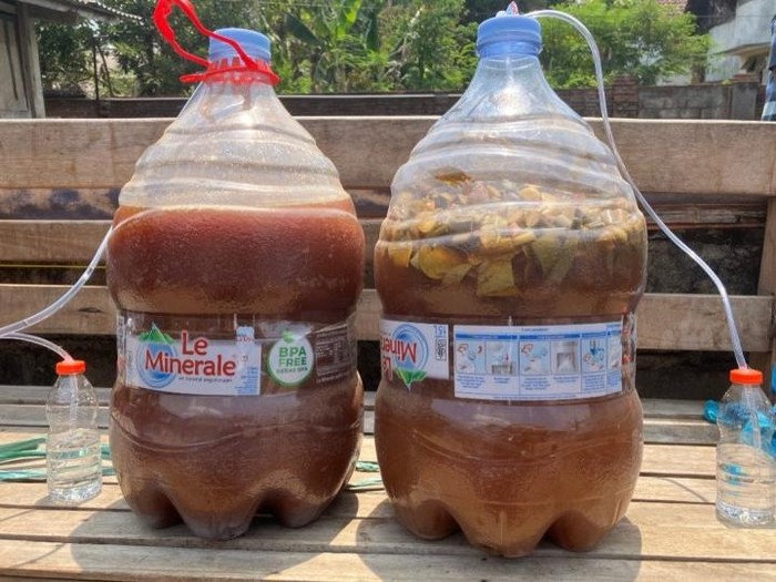 Universitas Brawijaya Ubah Eceng Gondok DAS Brantas Jadi Probiotik dan Ecoenzyme 2 Universitas Brawijaya Ubah Eceng Gondok DAS Brantas Jadi Probiotik dan Ecoenzyme