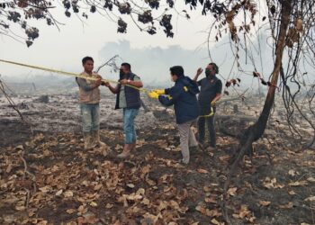 BNPB Ungkap Lahan Karhutla di Kalbar dan Kalteng Bertambah, Puluhan Ribu Personel Dikerahkan